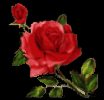 Roses are red....