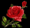 Roses are red....